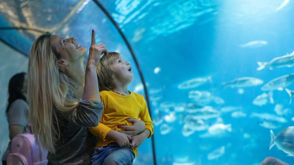 Woman and child in aquarium tunner